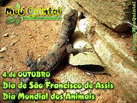 Dia Dos Animais! Dia Mundial dos Animais!