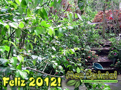FELIZ 2012!!!